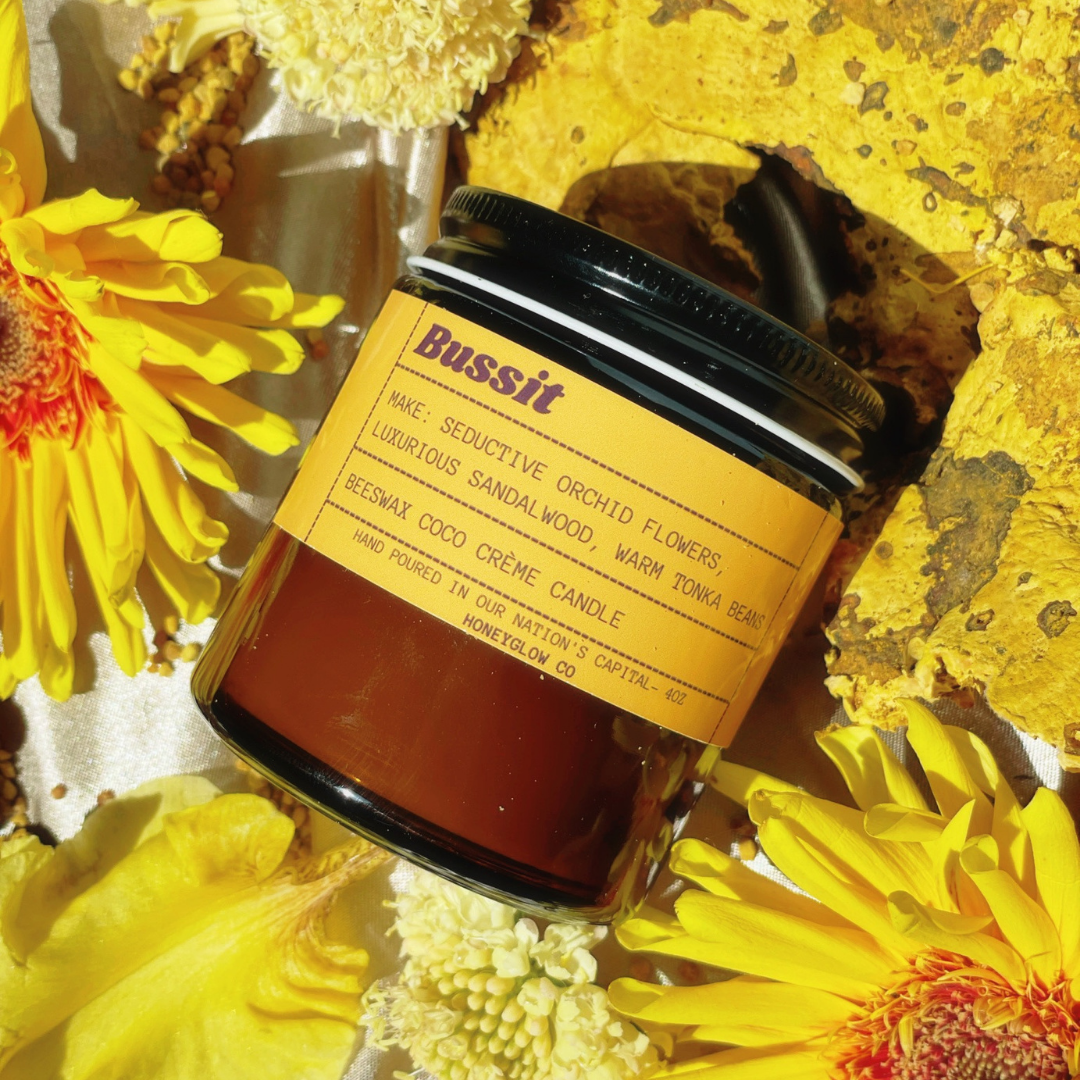 Bussit|Smooth & Inviting